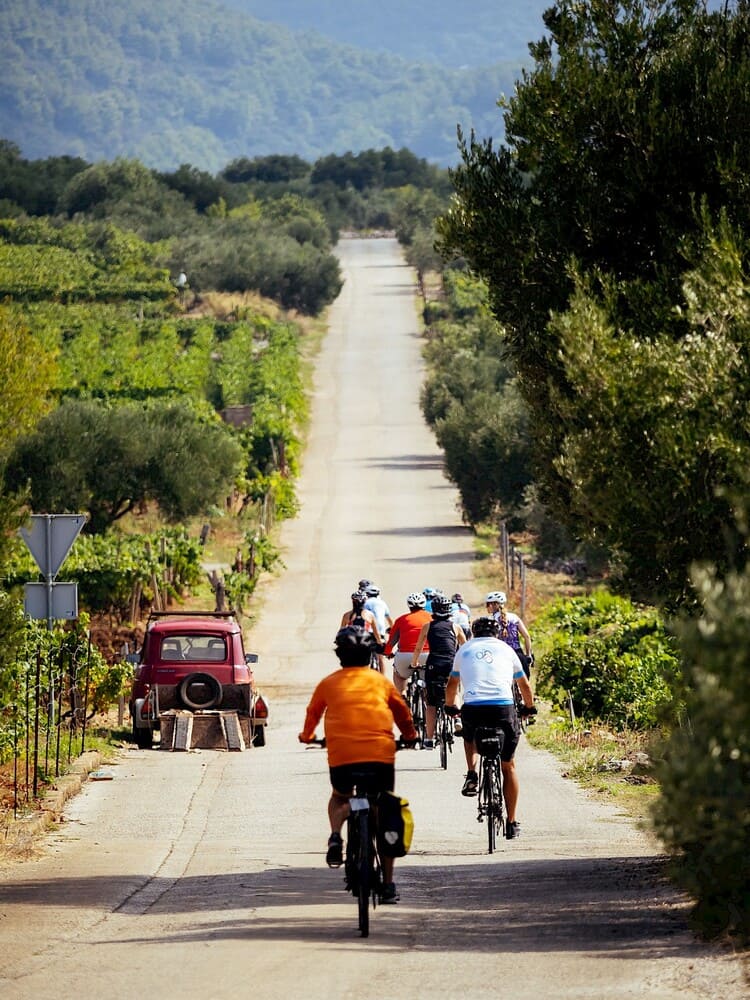 Group of cyclists riding through vineyards in Croatia