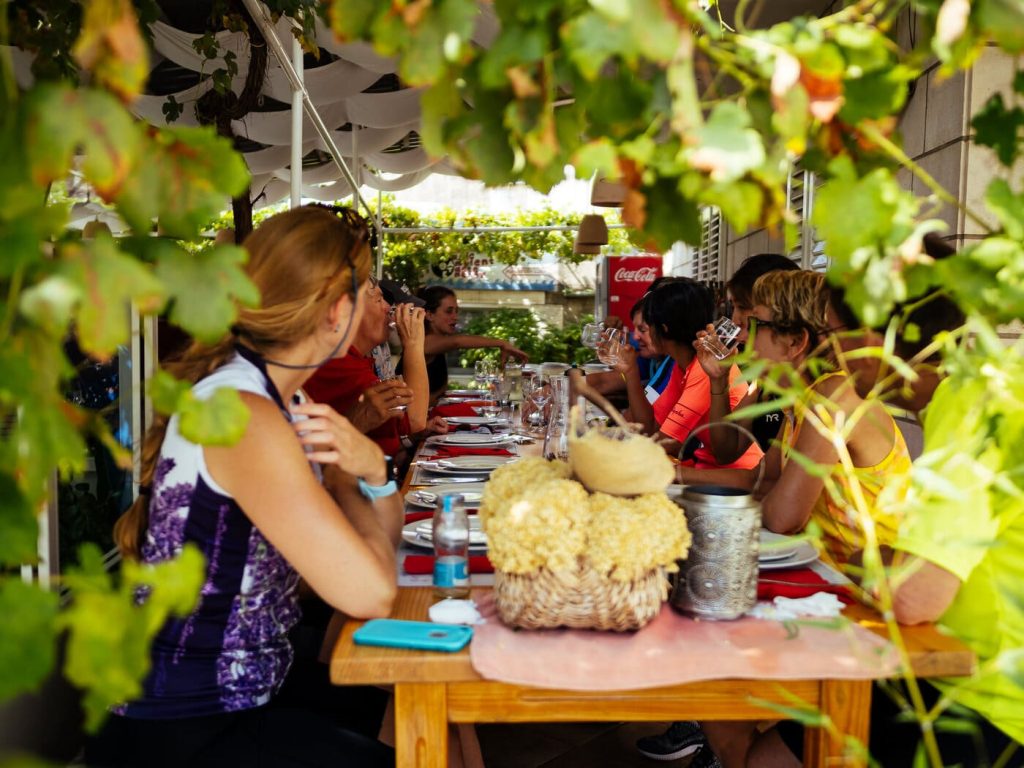 Cyclists enjoying lunch under grapevines during a bike tour in Croatia